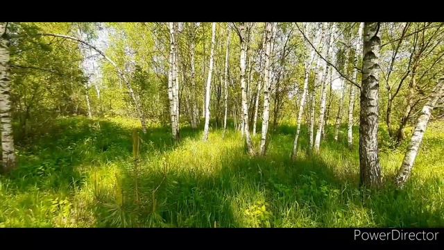 Для тех, кто любит природу ) Лето.  село Царево. Речка Талица после сильных дождей 2020г. смотреть онлайн