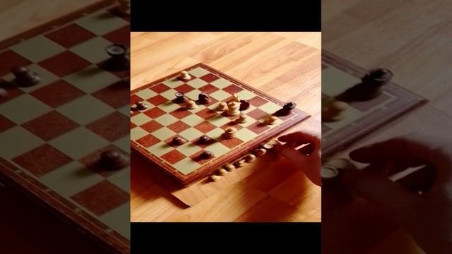 Как играть в шахматы основы шахматной игры, как ставить шахматные фигуры какая шахматная доска нужна