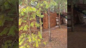 Кирпичный дом на винтовых сваях