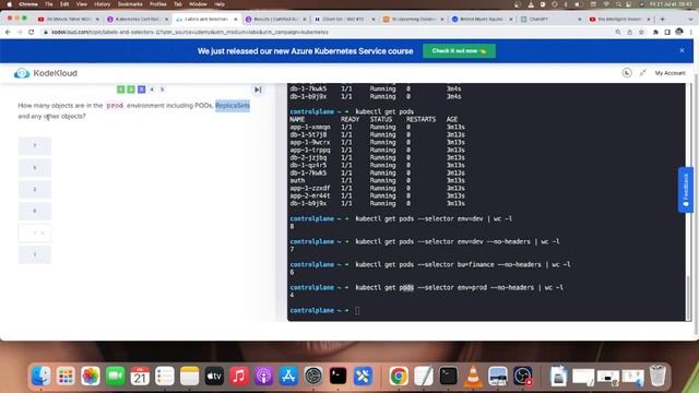 [kodekloud] CKAD Lab - labels and selectors - kubernetes смотреть онлайн
