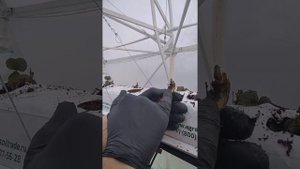 Технология посадки рассады клубники в кокосовые маты, как её поняли мы!