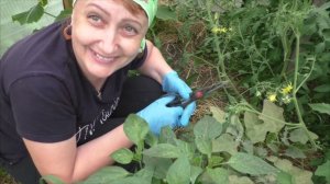 Слабонервным не смотреть!