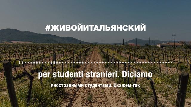 ? #живойитальянский (Эпизод 10: Vincenzo)
