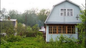 Как правильно хранить огурцы дома