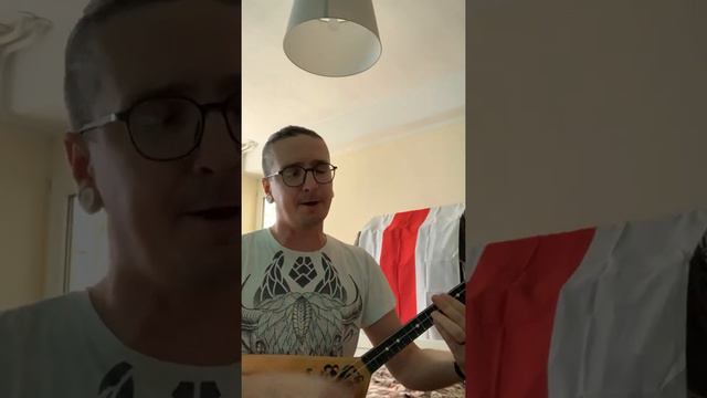 N. R. M. - Try Čarapachi (Тры Чарапахі) (Balalaika Cover) смотреть онлайн