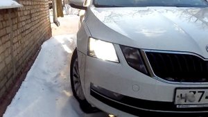 Шкода Октавия а7 fl. Установил светодиодные лампы.