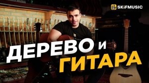 Что лучше ЕЛЬ или КЕДР? Какую гитару ВЫБРАТЬ? | SKIFMUSIC.RU