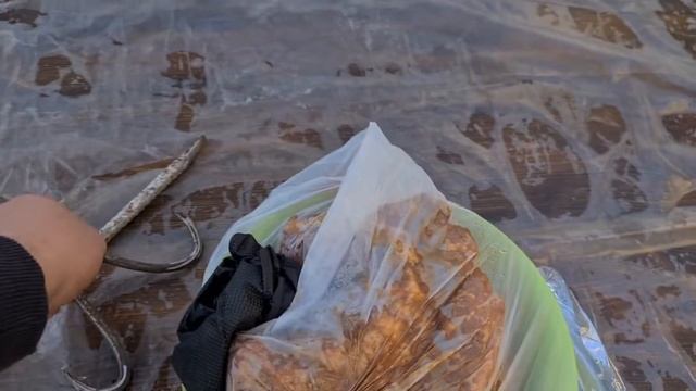 Испытание тандыра! Готовим ребра в тандыре. смотреть онлайн