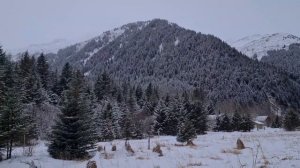 ALASKA winter 2022. Аляска зимой.