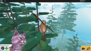 ЛЕО ЕСТ ПАУКОВ?! СИМУЛЯТОР ПТИЧКИ В РОБЛОКС КОШКА ЛАНА И КОТ ЛЕО ИГРАЮТ ВМЕСТЕ roblox Bird Simulato