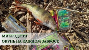 Окунь_на_каждом_забросе_Ловя_на_микроджиг_в_Астраханской_области
