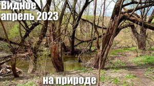 Видное Отдых на природе Шашлыки Апрель 2023