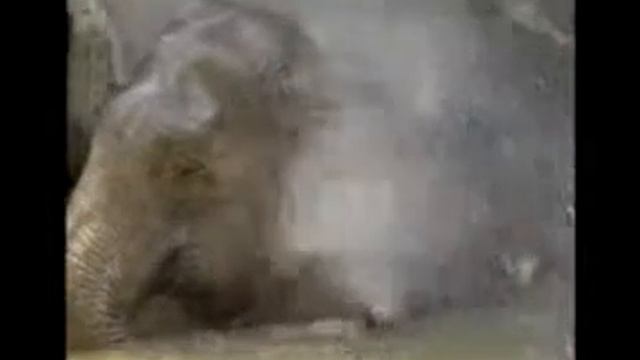 вот что значит нефиг делать смотреть онлайн