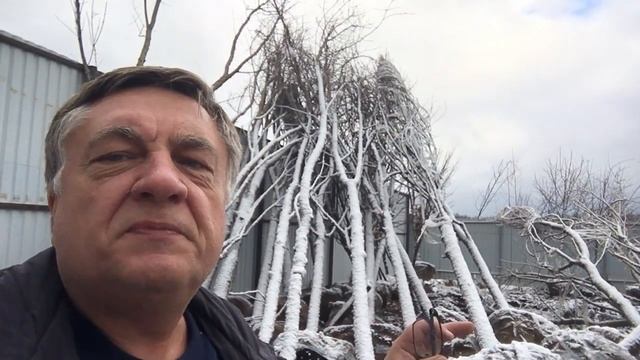 Что такое крупномеры и можно ли их высаживать зимой?