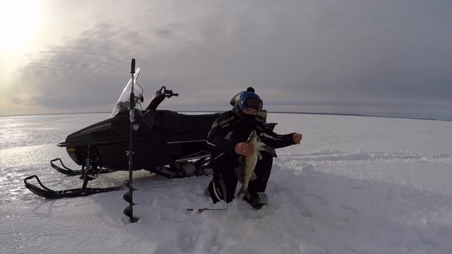 ловля хищной рыбы КРУГЛЫЙ ГОД !!! смотреть онлайн