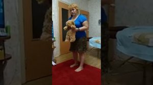 Видео № 7  Сопровождения при ходьбе,  ошибки, рекомендации. Особенности у детей со спастикой.