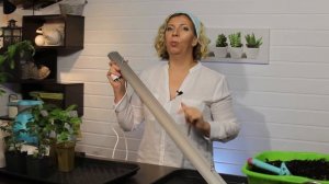 Как вырастить огурцы дома?