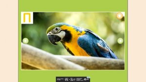 Музыкальная АЗБУКА для малышей от 2 до 5 лет. Обучающее видео.