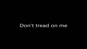 Don't tread on me - Bass and drums