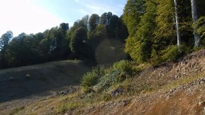 Тропа чемпионов Роза Хутор