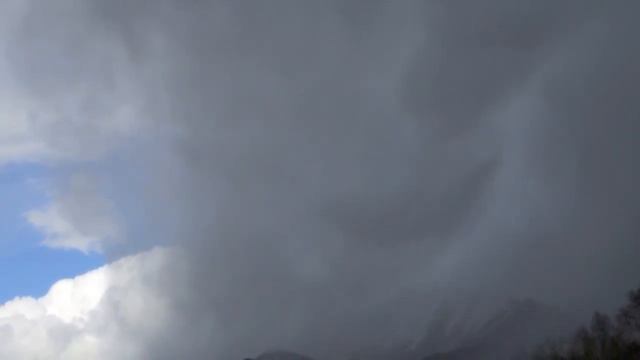 Beethoven Festival Online: Beethoven Trio in B Flat for Clarinet, Viola and Piano смотреть онлайн