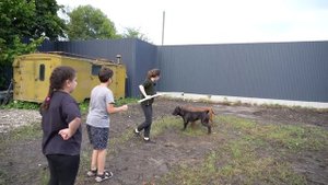 Дети против Питбулей. Отрыв головы. Дети занимаются с серьезной породой собак на удочку.