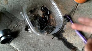 Ремонт стартера Subaru