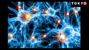 Шунгит - источник здоровья