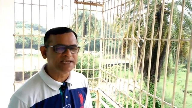 Simple Present Tense| Tenses |English Grammar | Present Simple |English Grammar in Gujarati | Std.1 смотреть онлайн