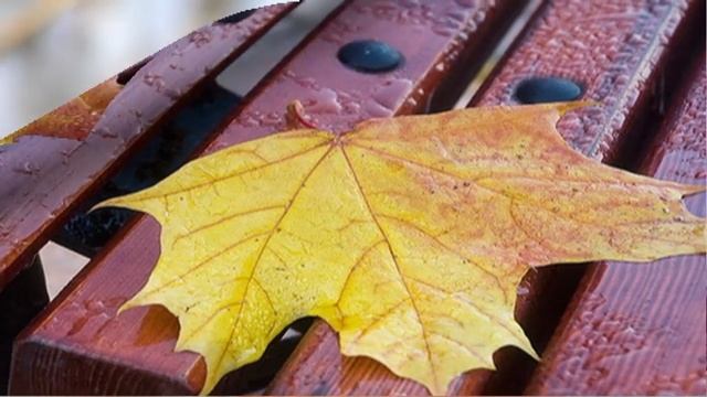 Калина красная Вика Цыганова смотреть онлайн