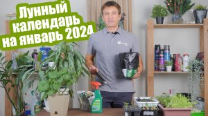 Лунный календарь садовода на январь 2024 года. Полный список работ!