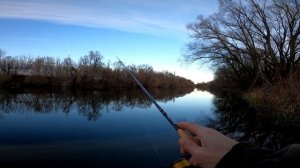 Микроджиг в ноябре | Ловлю окуня и щуку на приманку с AliExpress | Справится ли Arion с микрухой