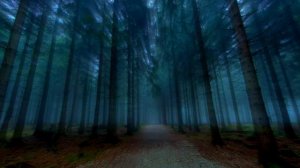 Видео заставка для монтажа. Лес.