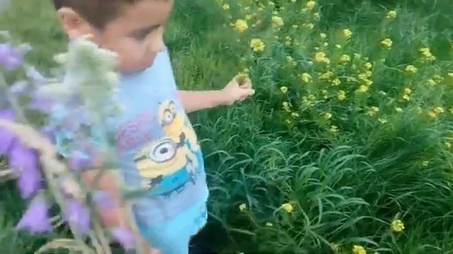 Просто собрали цветы и сделали самый дорогой букет для бабушки смотреть онлайн