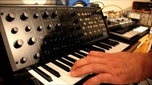 Korg ms-20 mini and Moog Rogue