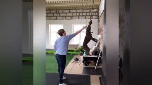 Стаффордширский терьер.  Тренировка в зале (весна 2020) #стафф #americanstaffordshireterrier