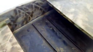 Лодка пнд 3 метра