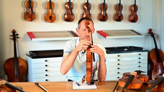 Violin and viola for large and small hands