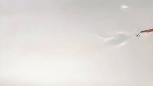 Лучшая со времён Сабанеева... || блесна УРАЛКА || Замедленная съёмка