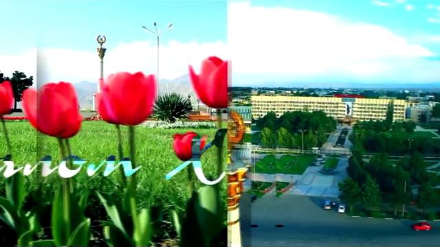 Болезни почек. Причина и профилактика. Часть 2. смотреть онлайн