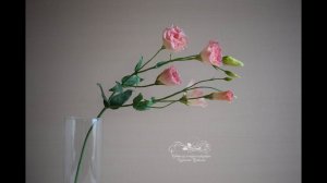 Мастер-класс "Эустома из холодного фарфора"