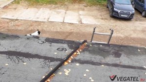 Усилитель сотовой связи и 4G-интернета МТС на производстве