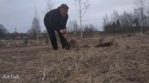 Посадил сосны у пруда  Почистил пруд от тины