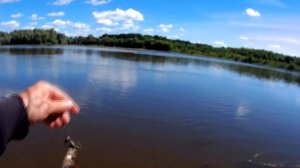 рыбалка на дону, рыбалка, ловля карася, леща, окуня и судака. Россошанский район, с С. Калитва