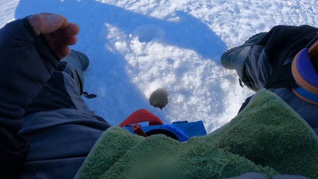 Ловля окуня и плотвы на мормышку в марте. Рыбалка весной. Озеро Рубское. смотреть онлайн