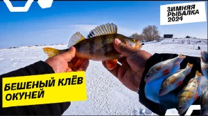 Зимняя рыбалка 2024 Ловля окуня на мормышку Ириклинское водохранилище рыбалка