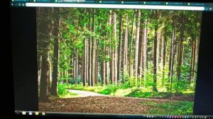 Мои настройки монитора ViewSonic VA2456-mhd. Осмотр моих и стандартных настроек.