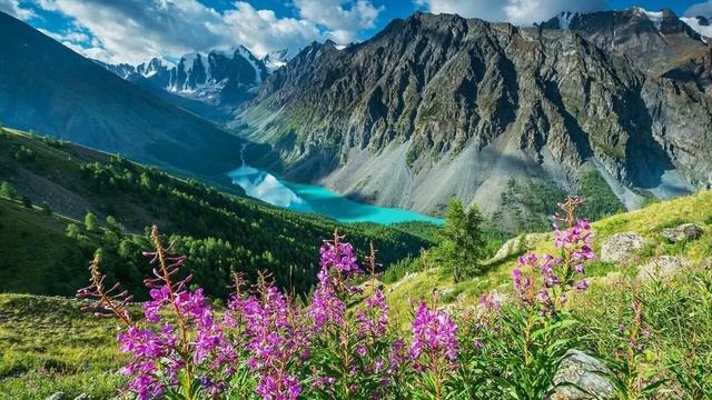 Практика трансформации мыслей смотреть онлайн