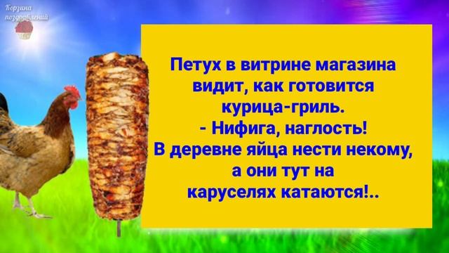 Лови Анекдоты Про животных От Меня! Юмор. Позитив.