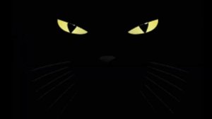 Футаж черный кот облизывающий камеру на черном фоне